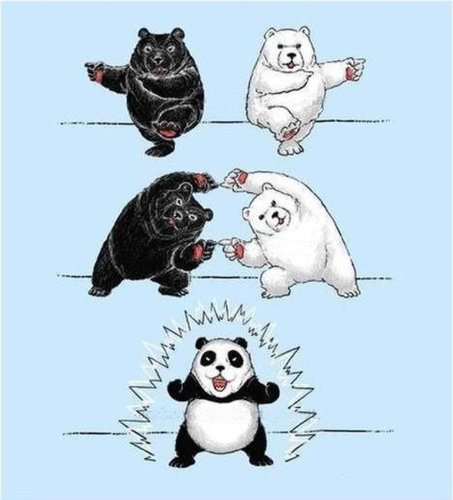 フュージョン 熊と白熊が合体するとパンダになります 笑
