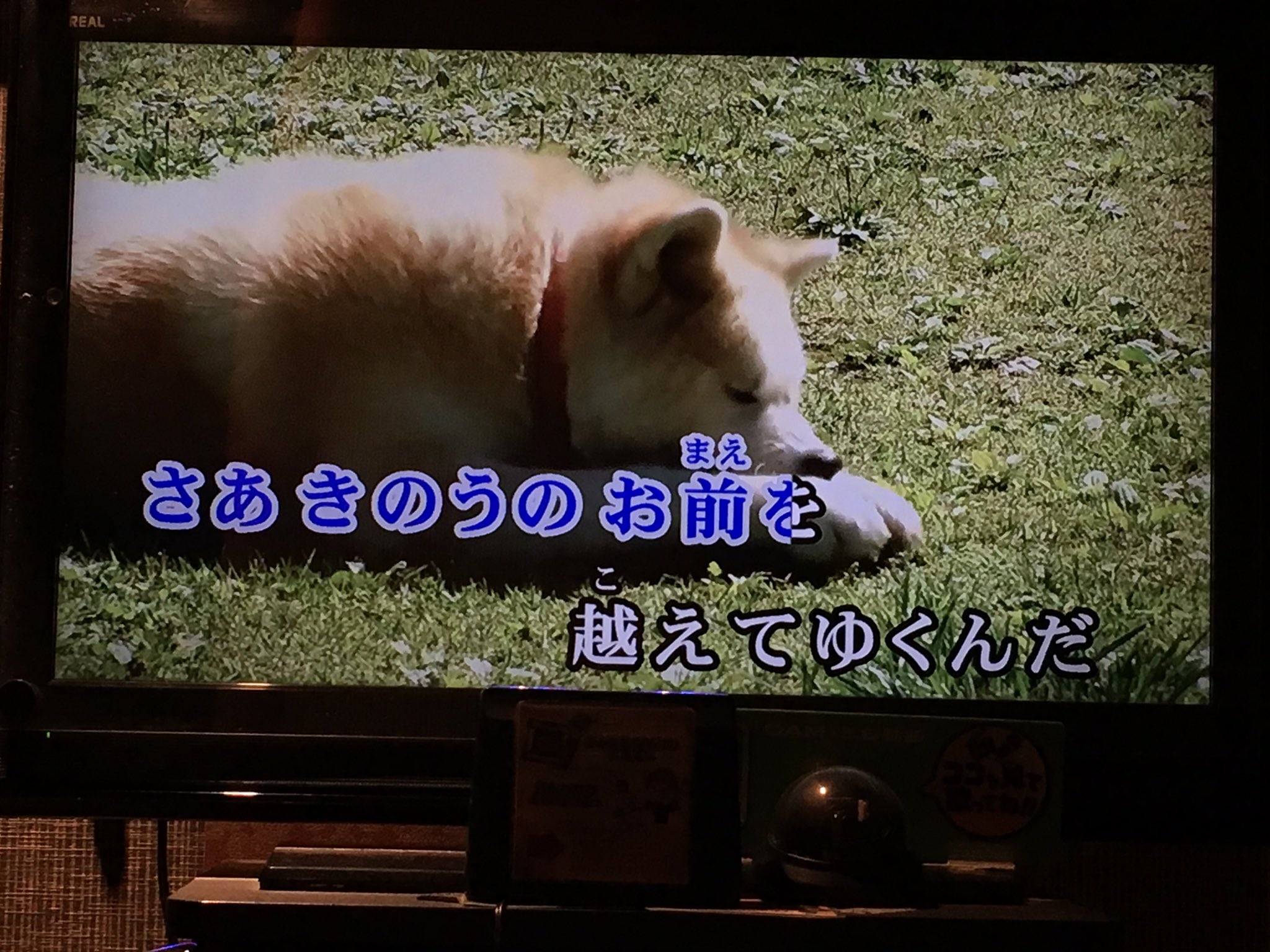 アニメ 銀牙 流れ星 銀 のカラオケ映像の犬がおもしろい 笑