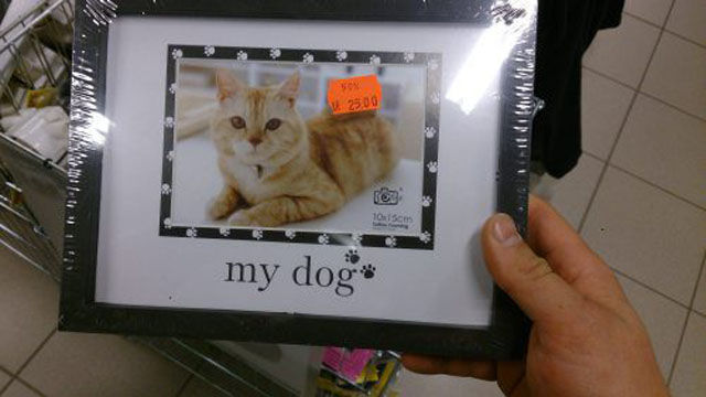 【誤字脱字・誤植おもしろ画像】え？犬？ 店で売っていたフォトフレームのイメージ写真は猫なのに…(笑)