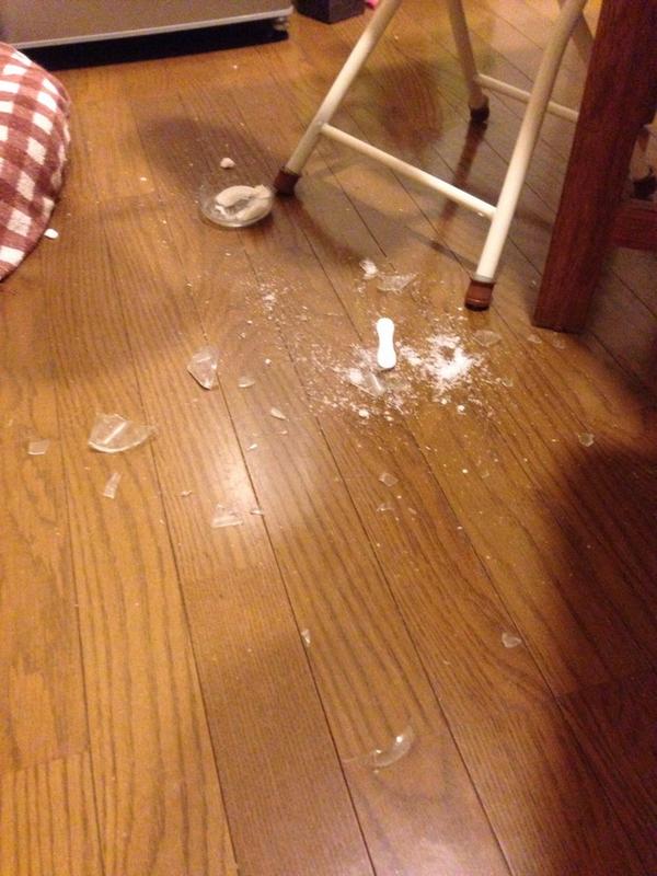 【猫おもしろ画像】砂糖瓶を割った猫に謝罪文の首飾りをした時のおもしろい表情（笑）