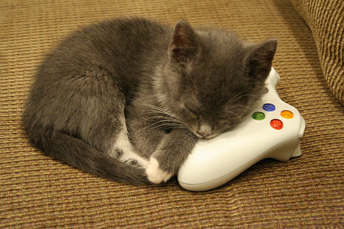 【猫おもしろ画像】XBOXゲームコントローラーを枕代わりにして眠る子猫（笑）cat_0141