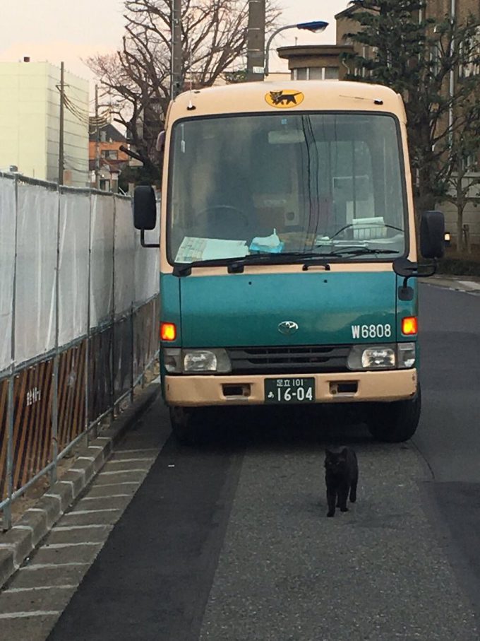 【猫おもしろ画像】黒猫！ クロネコヤマトの車から降りてきたガチ正社員（笑）