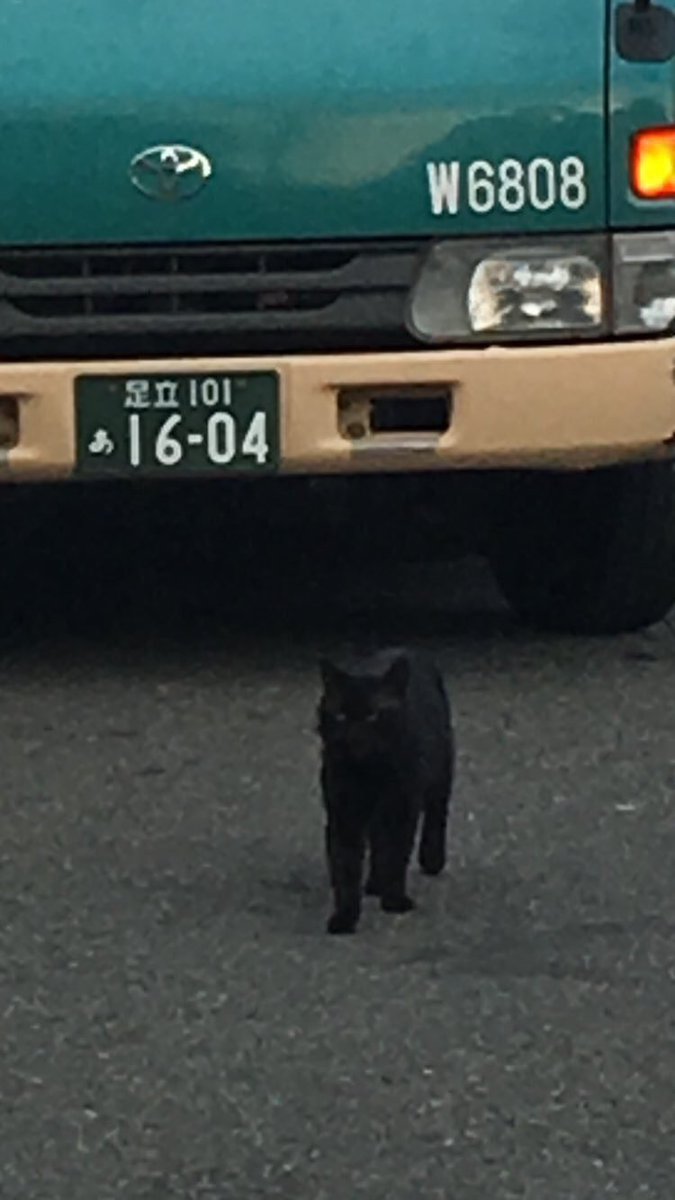 【猫おもしろ画像】黒猫！ クロネコヤマトの車から降りてきたガチ正社員（笑）