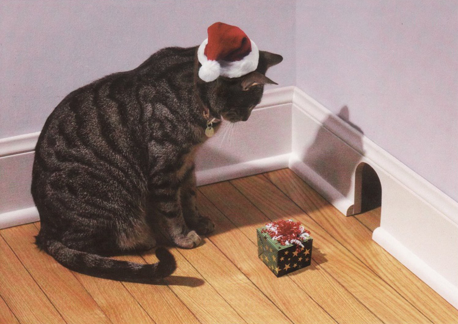 クリスマスプレゼントを上げようとネズミを待つおもしろい猫 笑