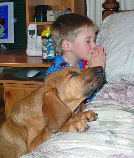 【犬おもしろ画像】一緒に！ 子どもと一緒に就寝前のお祈りをする犬がかわいい（笑）