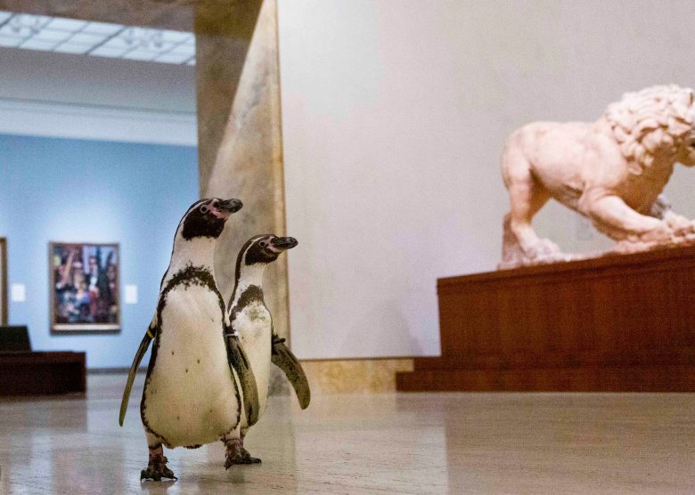 【コロナで起きたおもしろ画像】コロナで閉館中の美術館でアート鑑賞するペンギンたち（笑）