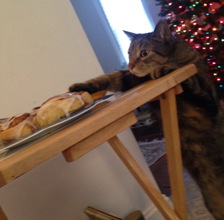 【クリスマスの猫おもしろ画像】クリスマスにパンを盗み食いしようとする猫（笑）