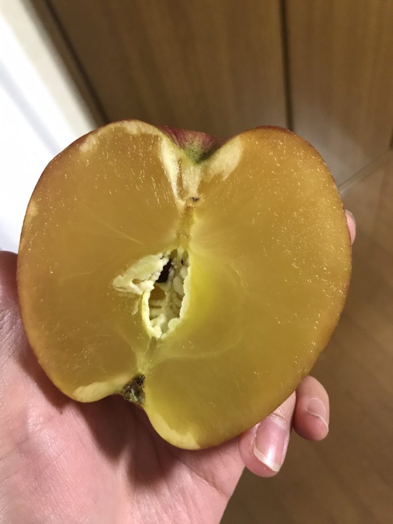 【リンゴおもしろ画像】りんご農家で発見された100%蜜りんごが超甘そう（笑）