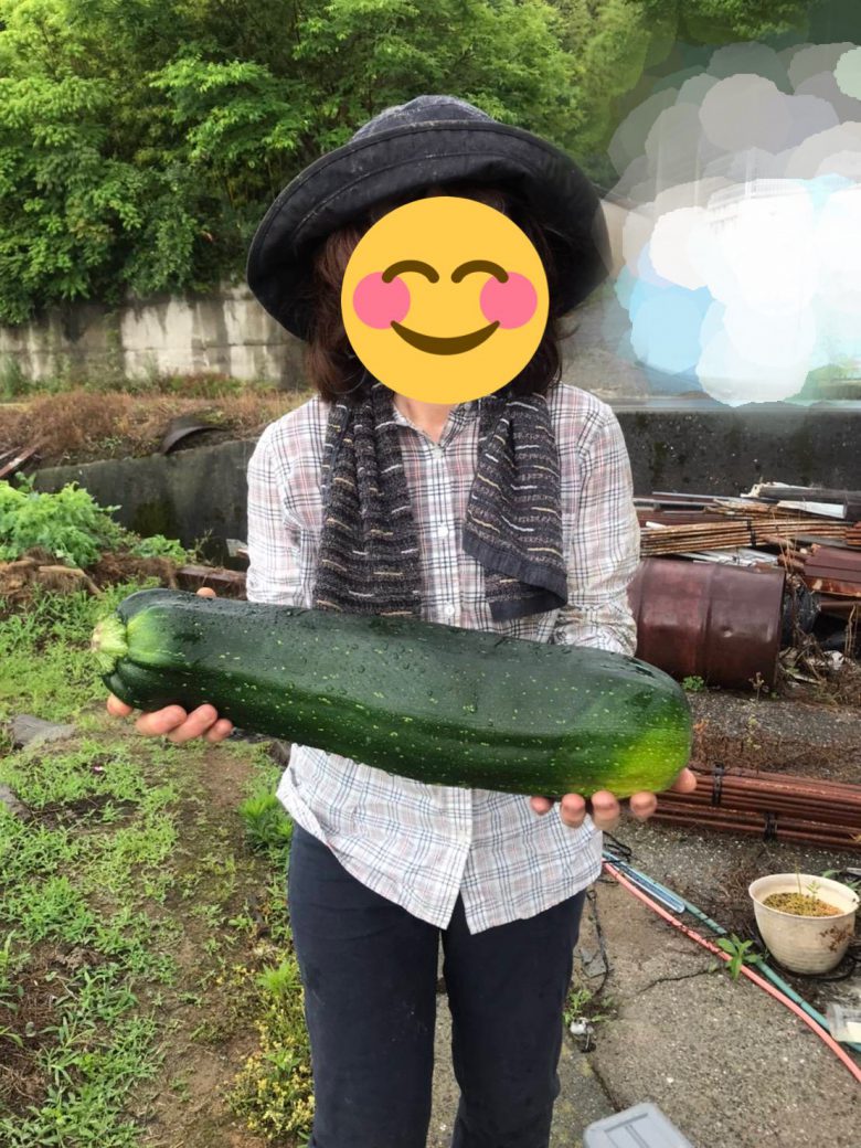 【変わった野菜おもしろ画像】育ち過ぎた大きすぎるズッキーニ（笑）