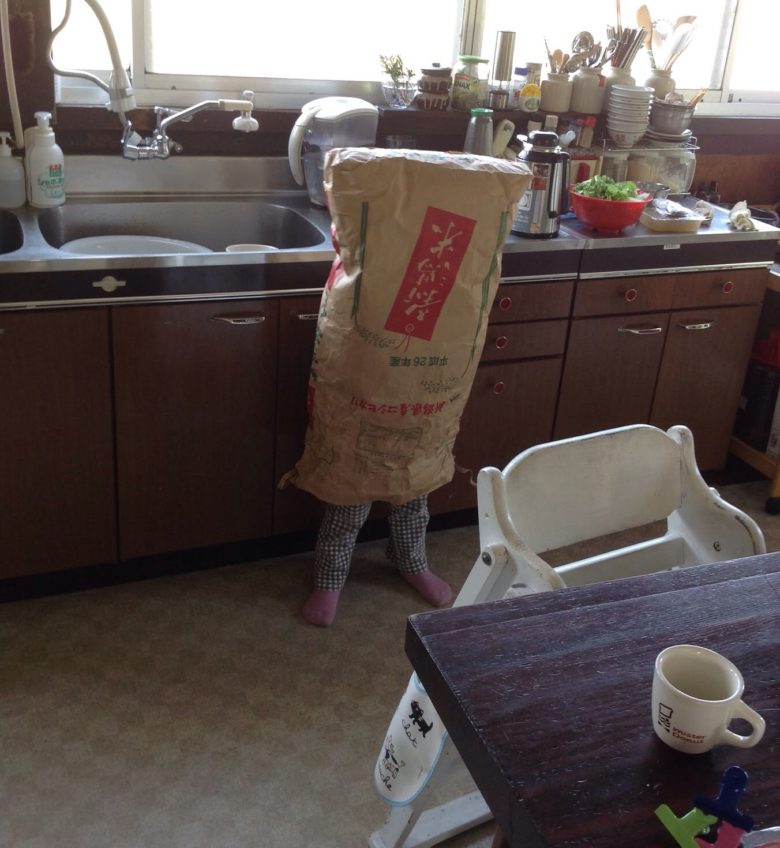 【子どもおもしろ画像】キッチンで仁王立ちするお米の神（笑）