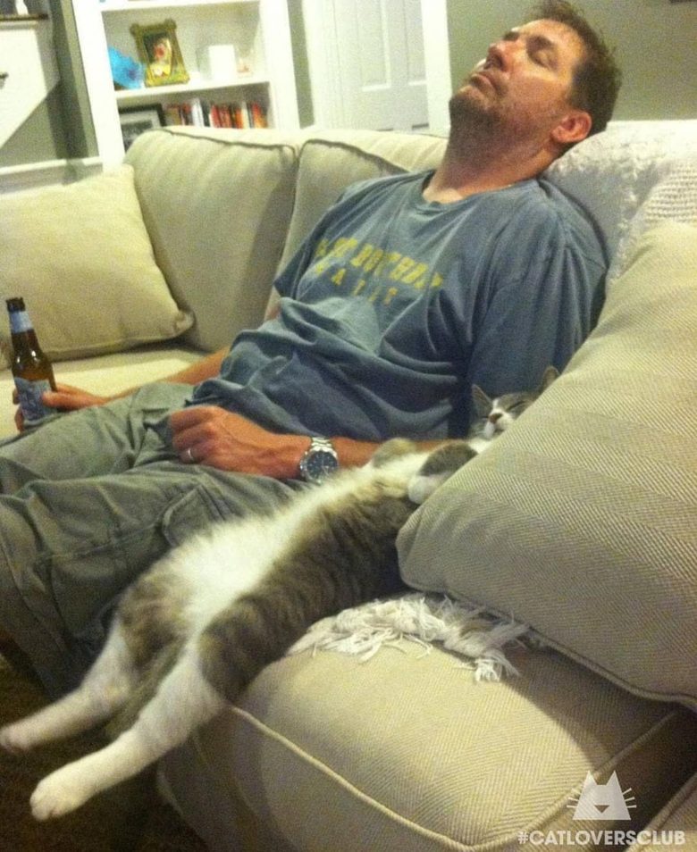 【猫おもしろ画像】酔っぱらって寝てる飼い主と同じ寝相の猫（笑）