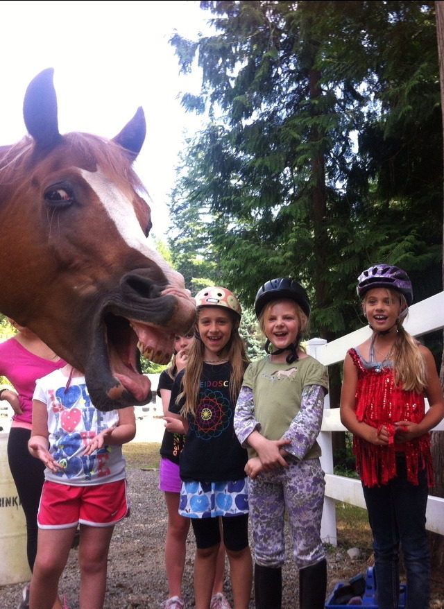 【馬写り込みおもしろ画像】子どもたちと一緒に写りたい馬（笑）