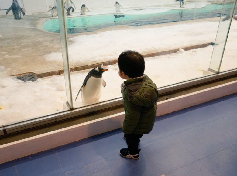 【子どもおもしろ画像】ペンギンと意思疎通を図る子ども（笑）