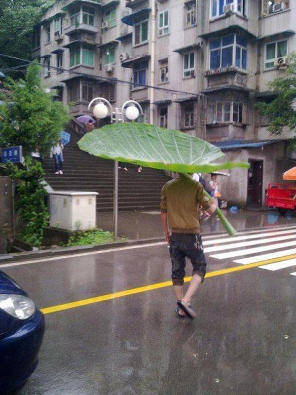 トトロ傘で雨をしのぐ人（笑）