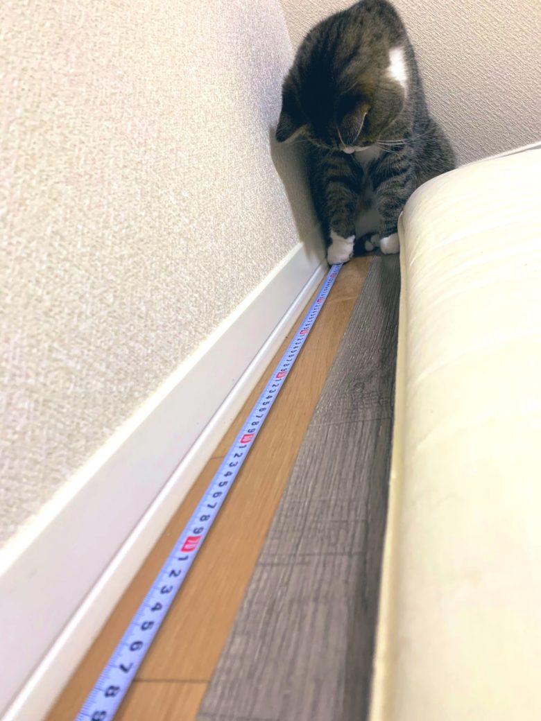 【猫おもしろ画像】ベッドの長さを測るのを手伝ってくれる猫（笑）