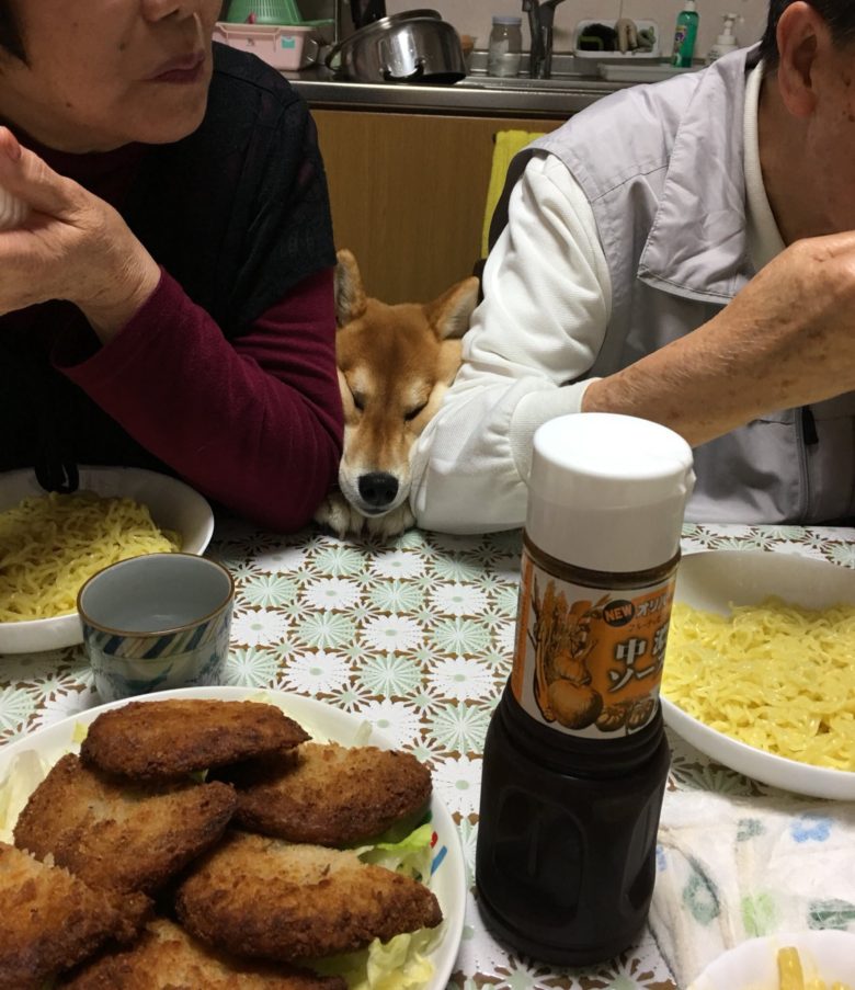 【犬おもしろ画像】食卓に無理やり入ろうとする柴犬（笑）