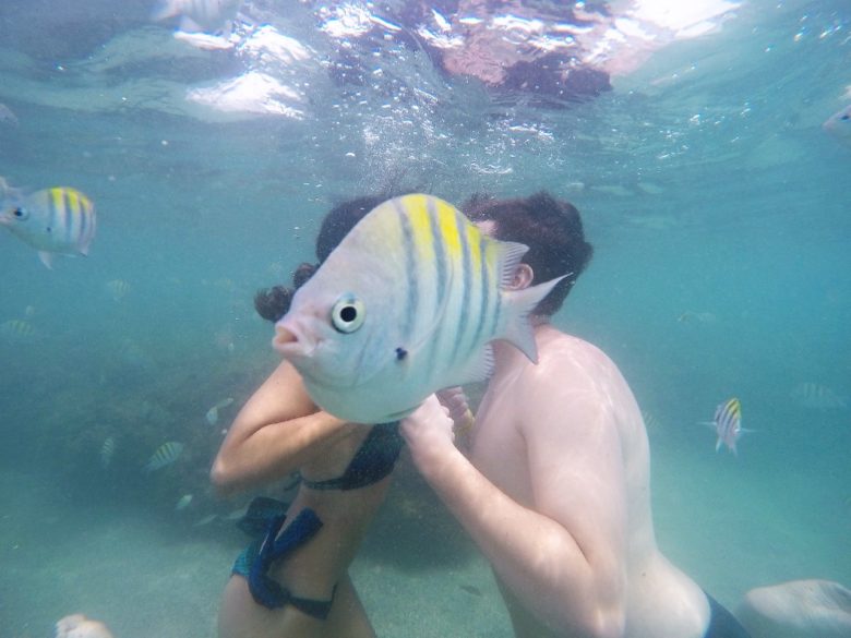 【カップルおもしろ画像】海中でカップルの記念撮影を邪魔する魚（笑）