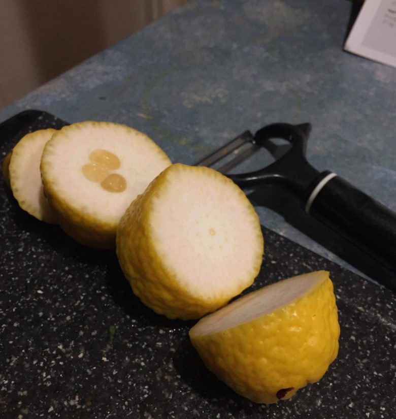 【レモンおもしろ画像】切ってびっくり！実がほとんどないレモン（笑）