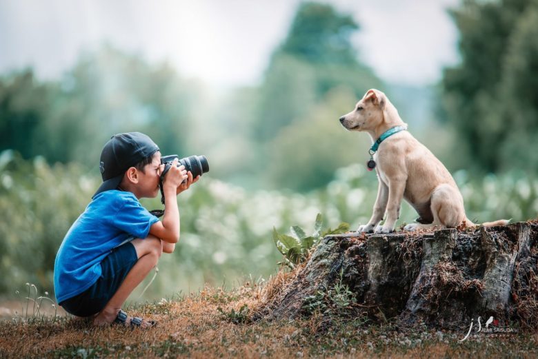 【子どもおもしろ画像】犬を撮影する少年のほのぼの3コマ（笑）