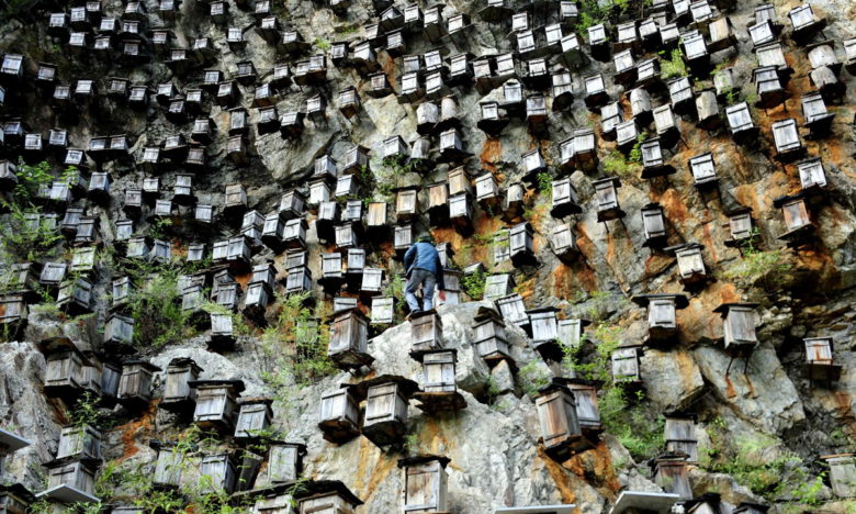 中国で崖沿いに並ぶ見事な養蜂箱！