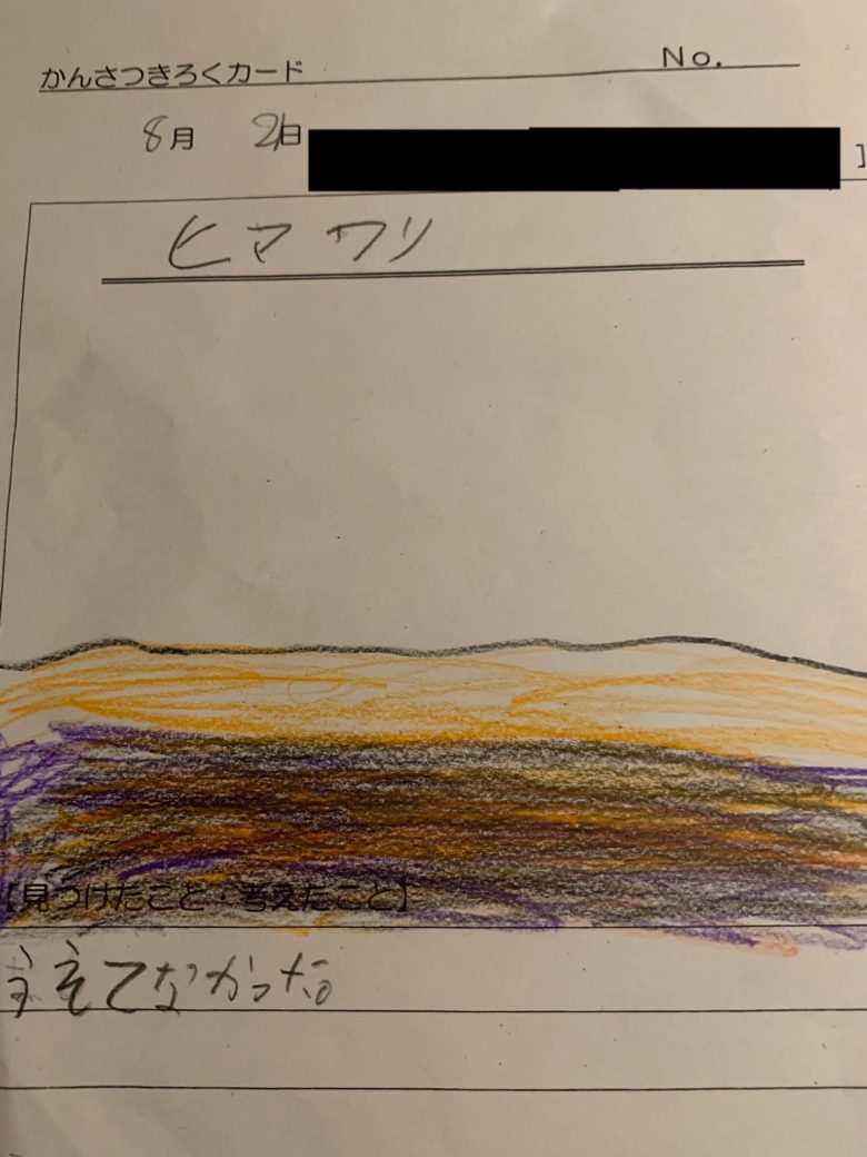 【夏休み日記おもしろ画像】夏休みに子どもが描いた、ヒマワリのおもしろい観察記録（笑）