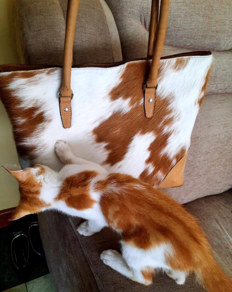 【猫おもしろ画像】自分と似たような柄・素材のバッグが気になる猫（笑）