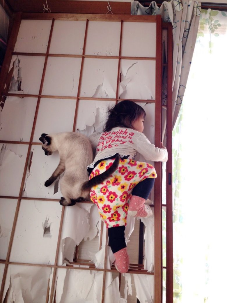 【猫と子どもおもしろ画像】猫に障子での遊び方のレクチャーを受ける子ども（笑）