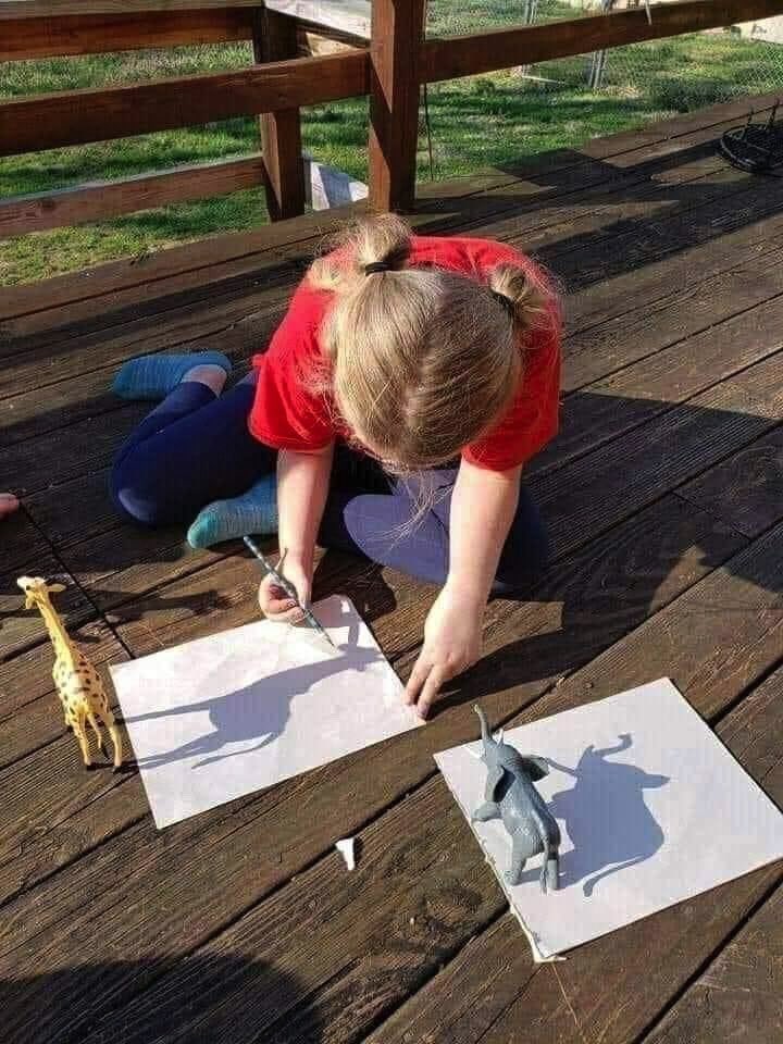 【子どもお絵かきおもしろ画像】動物のフィギュアの影をなぞって絵を描く子ども（笑）