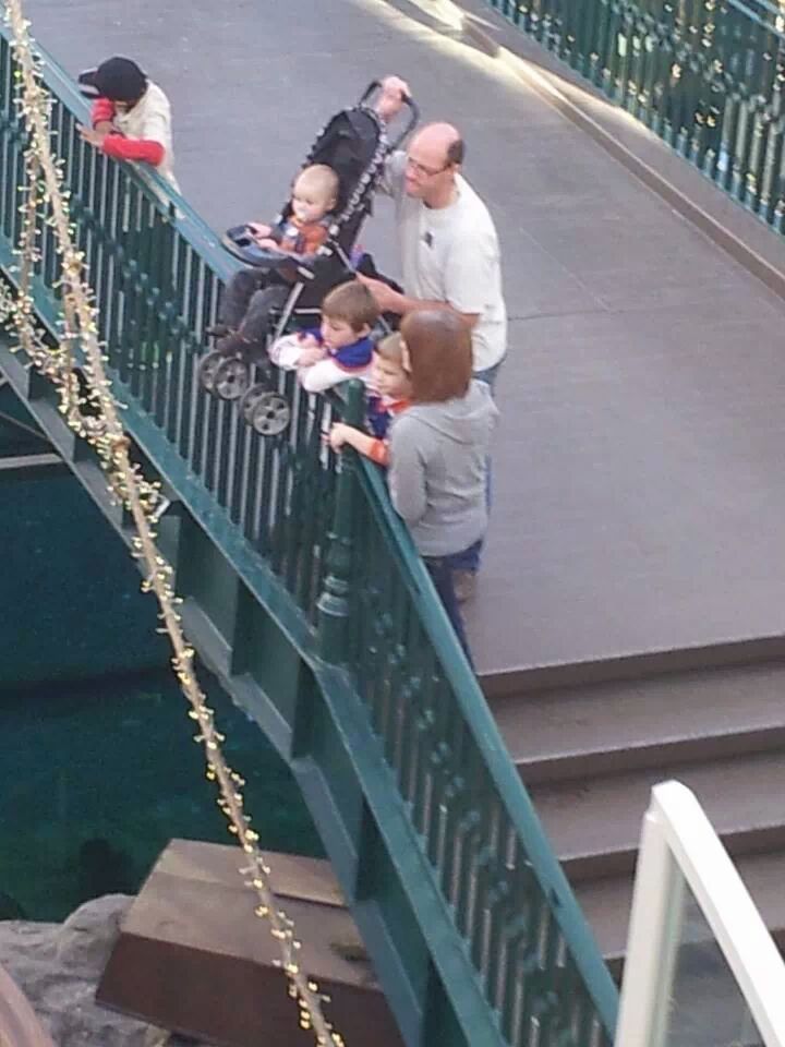 【海外衝撃画像】ベビーカーを橋の上に乗せて、赤ちゃんに景色を見せる父親！