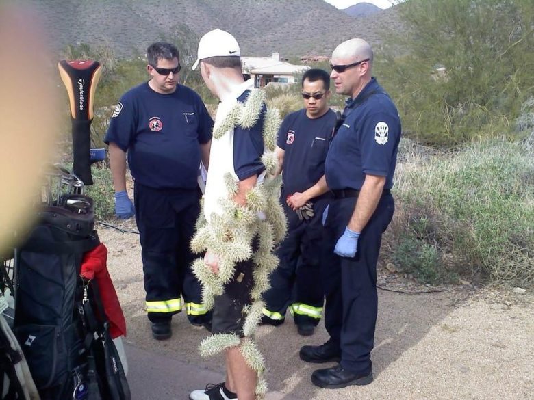 【海外ゴルフおもしろ画像】アリゾナでゴルフしていた人に起きたサボテンハプニング（笑）