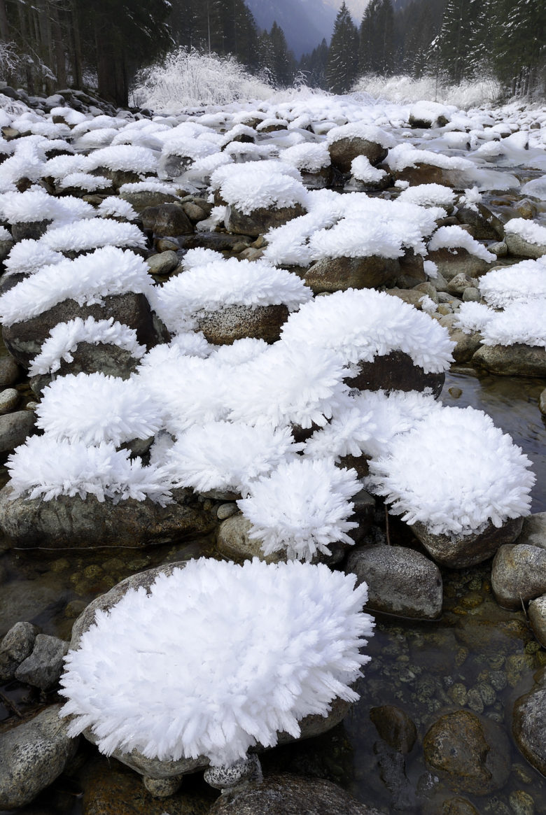 【雪の花衝撃画像】自然が生み出した、美しすぎる雪の花！